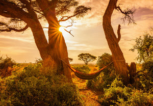 Superior Hammock<br>30°F with Insect Shield